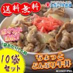 ヒガシマル ちょっとどんぶり 牛丼 味つけの素 10袋セット 1袋あたり1人前 900円ポッキリ