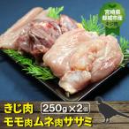  Miyazaki префектура столица замок город производство *. мясо [kiji] половина . комплект (500g)250g×2 шт [ Momo / грудь /sasami] бесплатная доставка 