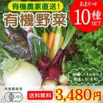 旬のこだわり有機野菜おまかせ10種セット!送料無料! 有機農家直送 産地直送 新鮮 宮崎県綾町産