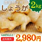 宮崎県綾町産　農薬無使用　生姜　しょうが　2kg　送料無料