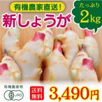 有機野菜 宮崎県綾町産 新しょうが 2kg 新生姜 送料無料