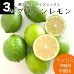 健ちゃんファームの瀬戸内産.グリー...