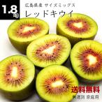 . Chan ферма. красный киви 1.8kg размер Mix есть перевод для бытового использования бесплатная доставка красный киви киви фрукты 20~28 шт 