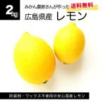広島レモンちゃん ひろしま観光ナビのキャラクター イメキャラブック