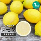 農薬不使用徳さんのレモン広島県産1...