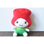 ���܂���@�ʂ�����݁@�����n�L�����@�Q�n�@�ʑ����@�o��