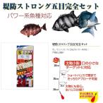  владелец дамба strong . глаз совершенно комплект (. покупка )