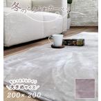 とろふわ 高密度フランネル カーペット 正方形 200×200cm 2帖用  あったか 丸洗いOK ラグ ホットカーペットカバー 保温 冬 秋冬用