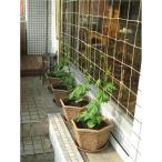 コダマ 麻紐ネット 60cm×1.8m 麻ひもネット