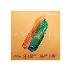 A411 XXSM ASCENTE A XX-SHT MED 取り寄せ商品