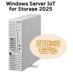 iStorage NS100Tm (Pentium Gold G7400/16GB/HDD*4TB/Windows Server IoT 2 стандарт наличие =^