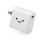 AC зарядное устройство QuickCharge3.0 соответствует USB1 порт белый лицо производитель наличие товар 