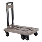  контейнер Carry Sand приобретенный товар 