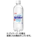 伊賀の天然水 強炭酸