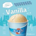 ブルーシールアイス バニラ 110mlカップ×16個入り 沖縄のアイスクリーム 通販 お取り寄せ BLUE SEAL ICE Vanilla