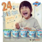 ショッピングお中元 アイス アイス ブルーシール 詰合せギフト24 沖縄のアイスクリーム ギフト プレゼント お中元 お歳暮