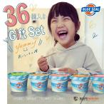 ショッピングお中元 アイス アイス ブルーシール 詰合せギフト36 沖縄のアイスクリーム ギフト プレゼント お中元 お歳暮