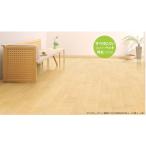 ノダ ネクシオウォークフィット 直貼りフロア NWJS2-PA NWJS2-WA 143mm×900mm×9mm 24枚入 床材 フローリング