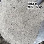 木灰 ５kg 七輪・囲炉裏・火鉢 家庭