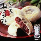  слива штук ветка моти 5 штук входит зонт. магазин Dazaifu местного производства . моти .... моти рефрижератор клейкий рис . тест закуска .. японские сладости западная кухня сладости ... подарок Hakata 