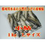  Tochigi premium KISAKU маленький форель (L размер 1Kg)( Naka река вода серия натуральный отделка безопасность безопасность. .. форель )