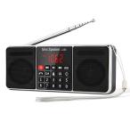 Gemean J-288 AM FM широкий FM портативный радио Bluetooth динамик функция цифровой заряжающийся стерео звук высокочувствительный ( чёрный 