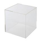 CREW'S ( круиз ) акрил box 5 поверхность body 10cm AB-100