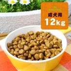 ショッピング送料 ネイティブドッグ プレミアムチキン 成犬用 12kg（3kg×4）　送料無料／北海道・沖縄は送料別