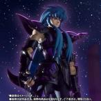 聖闘士聖衣神話EX アクエリアスカミュ（冥衣）(中古品)