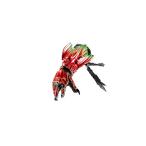 S.H.フィギュアーツ 仮面ライダーオーズ (真骨彫製法) アンク 約40mm ABS&P(中古品)