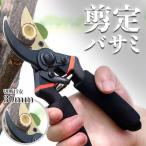剪定ばさみ 高級 剪定バサミ 剪定鋏  枝切バサミ 園芸用品 庭 ガーデニング おしゃれ 庭作り はさみ 強力 ハサミ 鋏 枝切り ガーデン