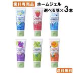 ショッピング歯磨き粉 【最安値挑戦中】歯磨き粉 ホームジェル オーラルケア 3本セット 65g フッ素 子供 ジェル 歯科専売品