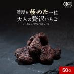 いちご ドライフルーツ ストロベリー 50g 砂糖不使用 ドライストロベリー 有機JAS認証 苺 オーガニック ドライいちご ポイント消化