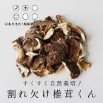 乾燥椎茸 110g 国産 自然栽培 割れ欠け 規格外の助っ人 送料無料 干し 訳あり  国産 大分 ほししいたけ