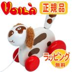 �G�f���e �{�C�� Voila �u���A�����O�y�b�g �h�b�O �G�f���e �؂̂������� �v���g�C �m��ߋ� �x�r�[ �L�b�Y