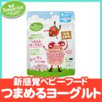 キウイガーデン フリーズドライ ストロベリー ヨーグルト お子様から大人まで 新感覚 ベビーフード