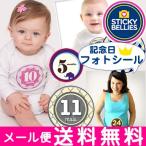 STICKY BELLIES стойка  ключ Berry z память день фото наклейка память день наклейка фото memorial man s Lee стикер 