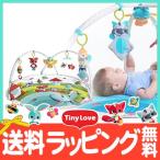 TINYLOVE タイニーラブ Meadow Days 4wayダイナミックジミニー プレイジム ベビージム プレイマット