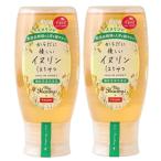 からだに優しいイヌリンはちみつ 500g 2個セット マイハニー 機能性表示食品 血糖値 食物繊維