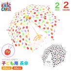 はらぺこあおむし 長傘 雨傘 子供傘 幼児用傘 40cm 45cm 総柄 かわいい レイングッズ 雨具 男の子 女の子 通園 園児 幼児 キッズ