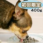 Yahoo! Yahoo!ショッピング(ヤフー ショッピング)《初回限定》送料無料 1200円！ナチュラルドッグライフ☆オリジナルフード『亀』400g 国産・無添加  ドッグフード 幼犬・成犬・高齢犬対応