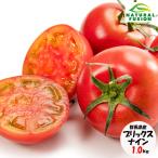 群馬県産 ブリックスナイン S〜Lサイズ約1kg 高糖度フルーツトマト