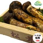 b- язык производство сосна .100g (3 шт. входит .) пробный для натуральный рефрижератор рейс 