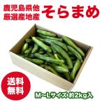 鹿児島県他 厳選産地産 そら豆 2kg クール便