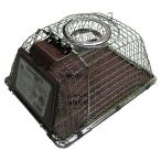  темно синий Pal (Compal)chu-* house type сплав сталь 