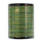  золотой черепаха нить индустрия little house Rainbow стеганый нить уровень окраска стеганый нить 40 300m #16 [22] LH104018-16