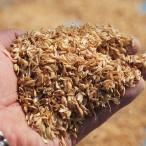 農家直送 もみ殻 80L 約8.2kg 籾殻 青森県産 良い土づくりに！もみ殻 堆肥 もみがら 籾殻燻炭