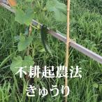 [ огурец ] пестициды * химия удобрение * убийца сорняков не использование не .. природа культивирование 