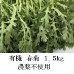  иметь машина весна .1.5KG