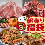 肉 福袋 牛肉 送料無料 加工品 9種類+おまかせ1~2種 メガ盛り 3kg (はしっこ 訳あり わけあり 10)